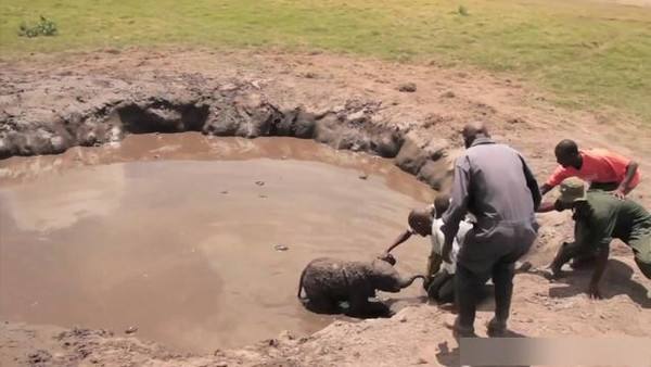 1547520726400442.jpg 泥坑搞笑.jpg