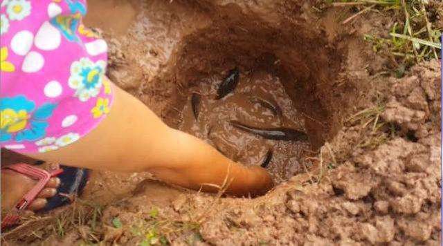 1547520650611909.jpg 泥坑.jpg