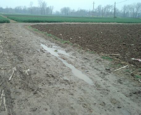 1547521398123954.jpg 農(nóng)村土路.jpg