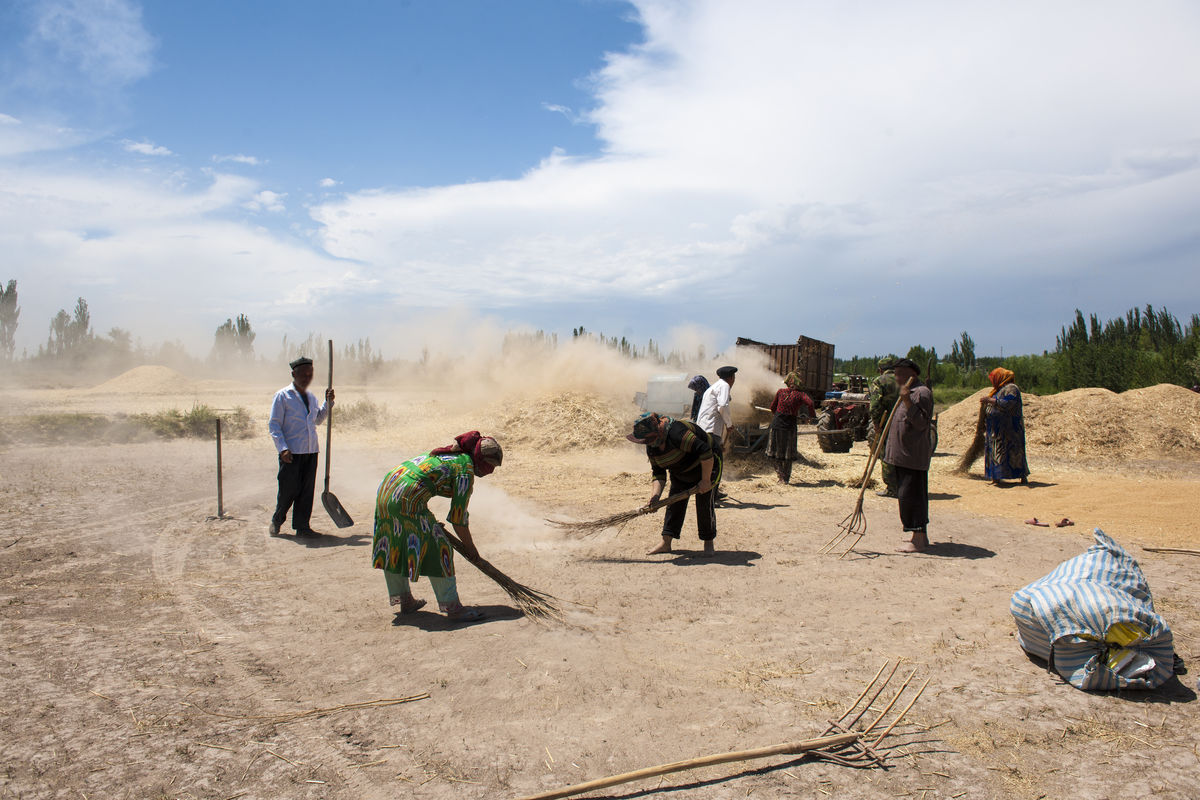 1547519644748611.jpg 土地曬場.jpg